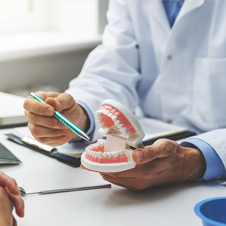 dentist with model teeth